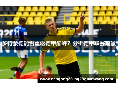 多特蒙德能否重返德甲巅峰？分析德甲联赛前景